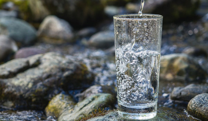 Water Cooler Dispenser: Benefits, Tips and Fixes